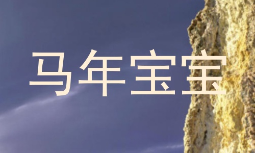 马年宝宝