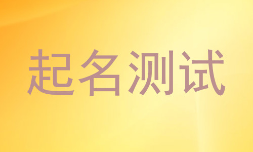 起名测试