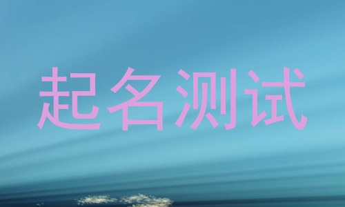 起名测试
