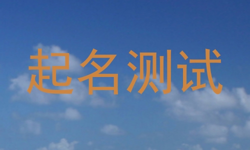 起名测试