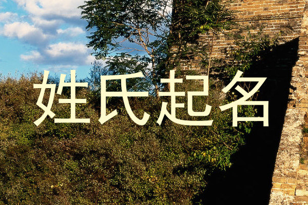 姓氏起名