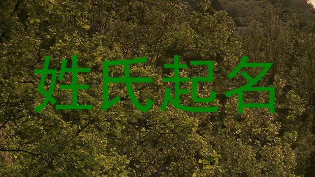 姓氏起名