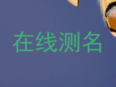 在线测名