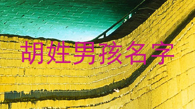 胡姓男孩名字