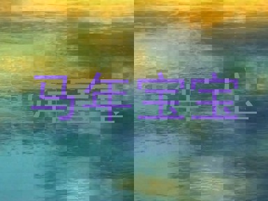 马年宝宝