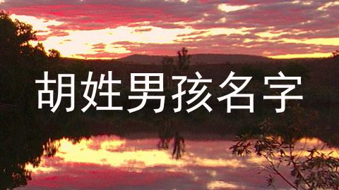 胡姓男孩名字