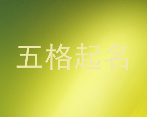 五格起名