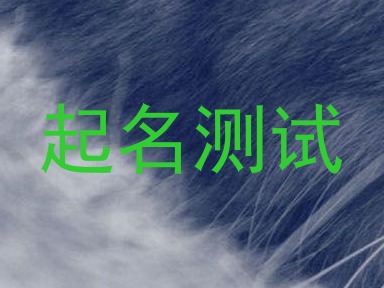 起名测试
