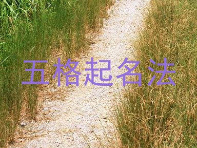 五格起名法