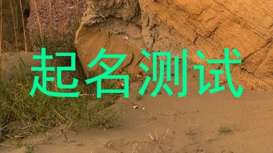 起名测试