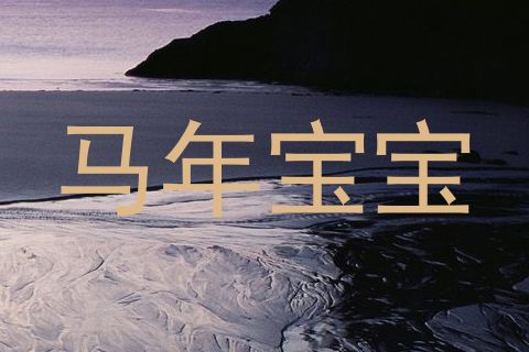 马年宝宝