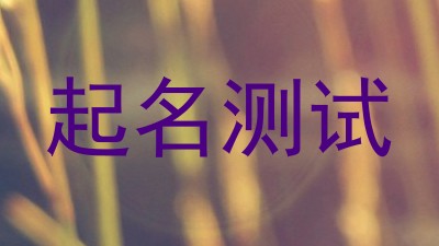 起名测试