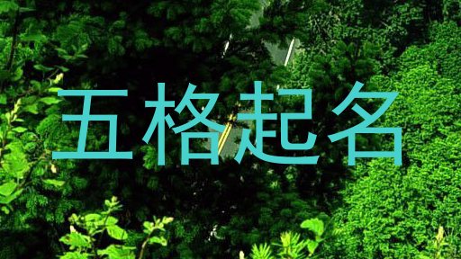 五格起名