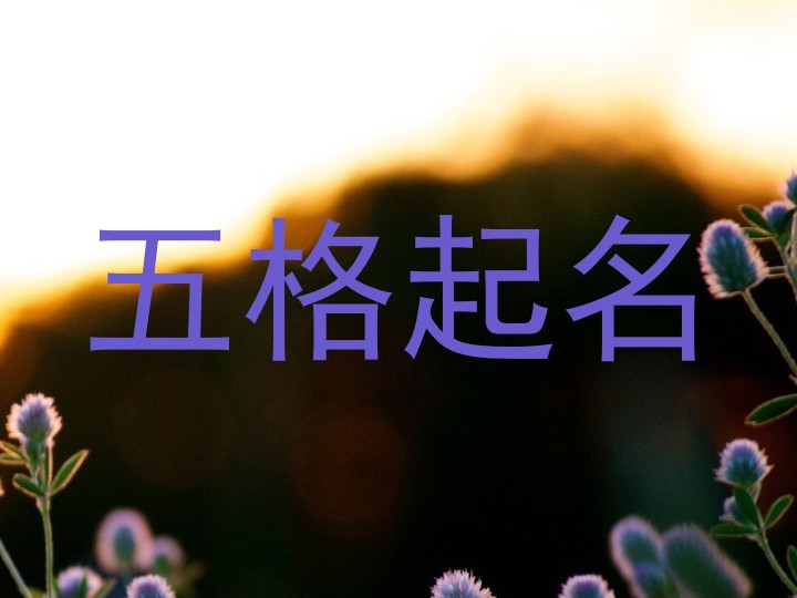 五格起名