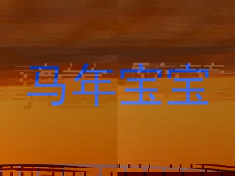 马年宝宝