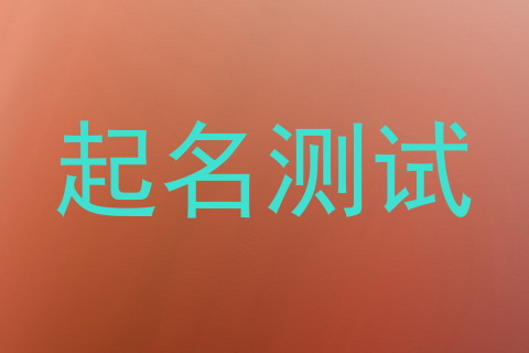 起名测试