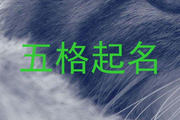 五格起名