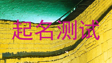 起名测试