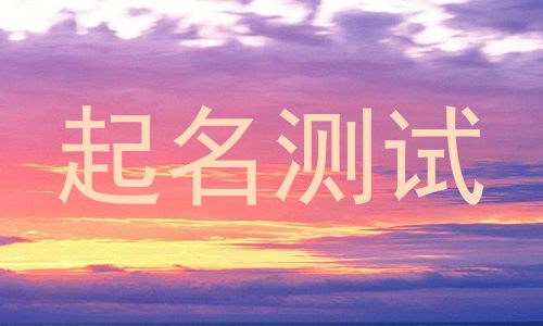 起名测试