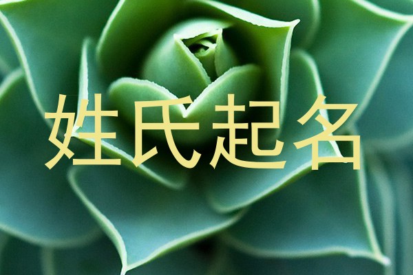 姓氏起名