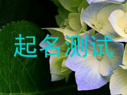 起名测试