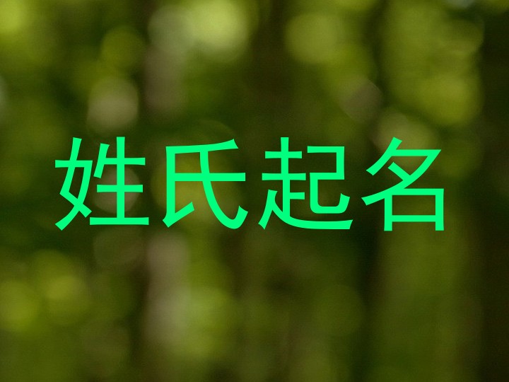 姓氏起名