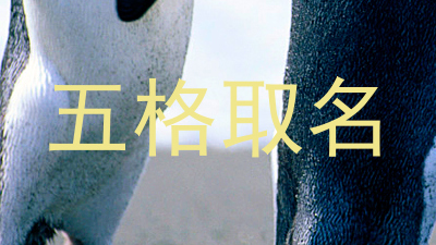 五格取名
