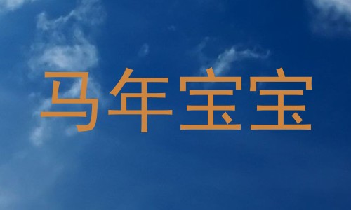 马年宝宝