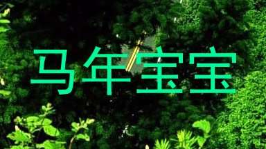 马年宝宝