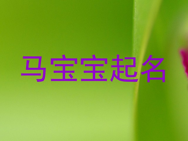 马宝宝起名