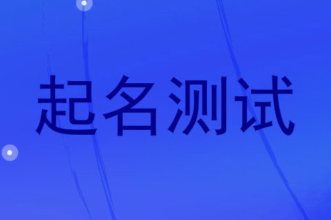 起名测试