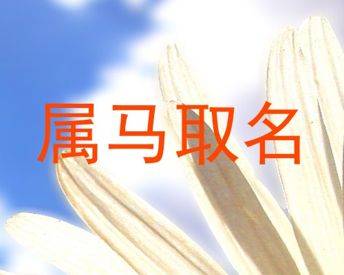 属马取名