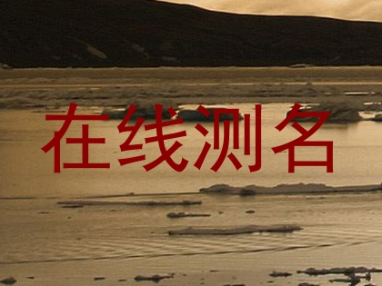 在线测名