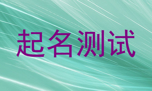 起名测试