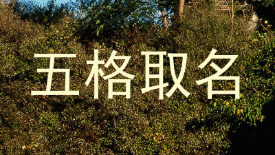 五格取名