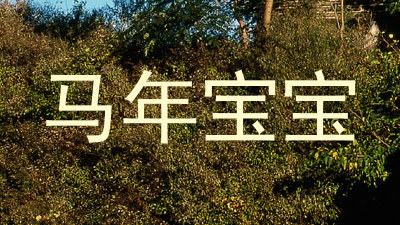 马年宝宝
