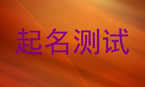 起名测试