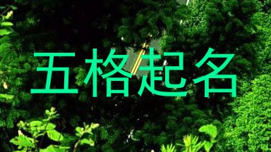 五格起名