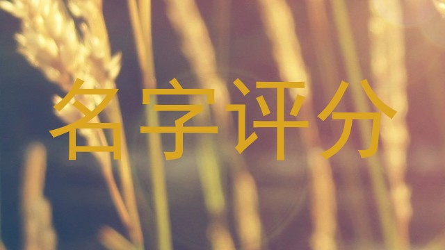 名字评分