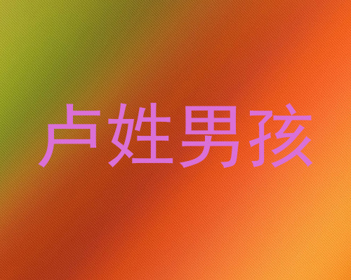卢姓男孩