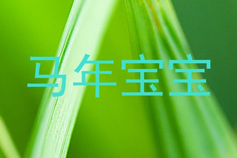 马年宝宝