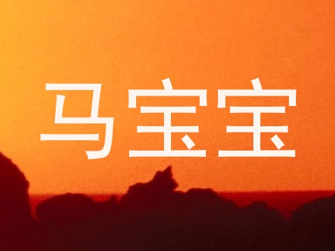 马宝宝
