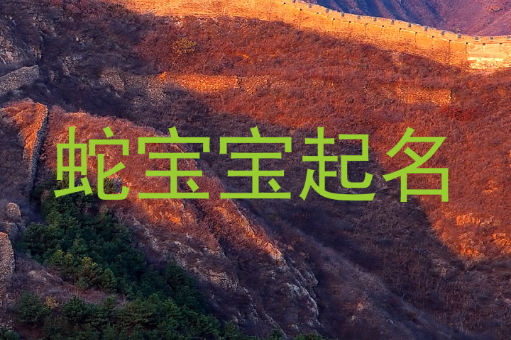 蛇宝宝起名