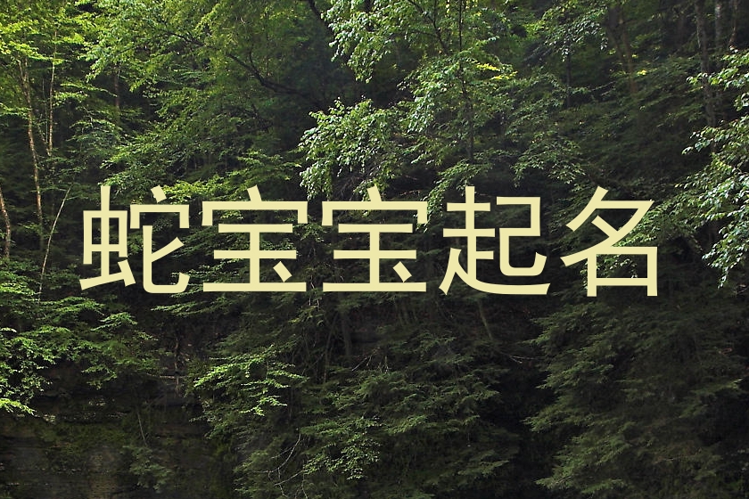 蛇宝宝起名