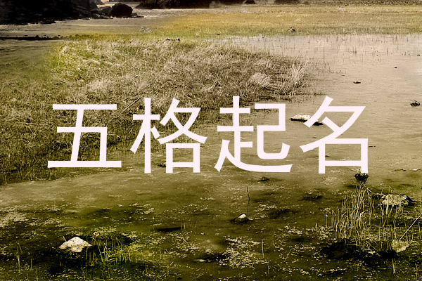 五格起名