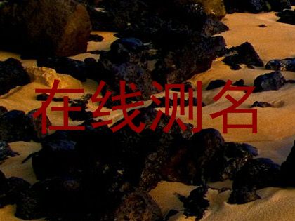 在线测名