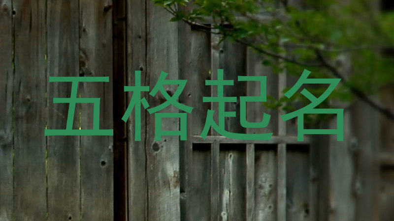 五格起名