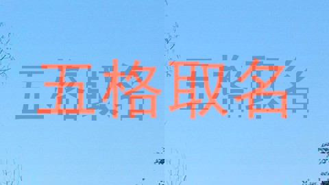 五格取名