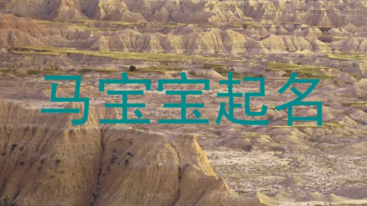 马宝宝起名