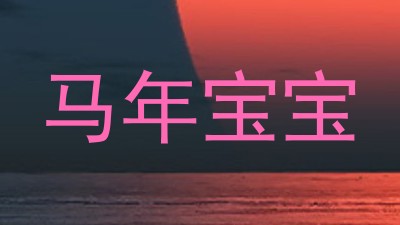 马年宝宝